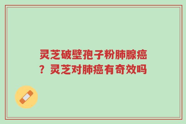 灵芝破壁孢子粉肺腺癌?灵芝对肺癌有奇效吗-第1张图片-超越 灵芝破壁孢子粉肺腺癌?灵芝对肺癌有奇效吗-第1张图片-超越