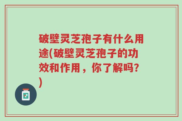 破壁灵芝孢子有什么用途(破壁灵芝孢子的功效和作用,你了解吗?)-第1张图片-超越 破壁灵芝孢子有什么用途(破壁灵芝孢子的功效和作用,你了解吗?)-第1张图片-超越