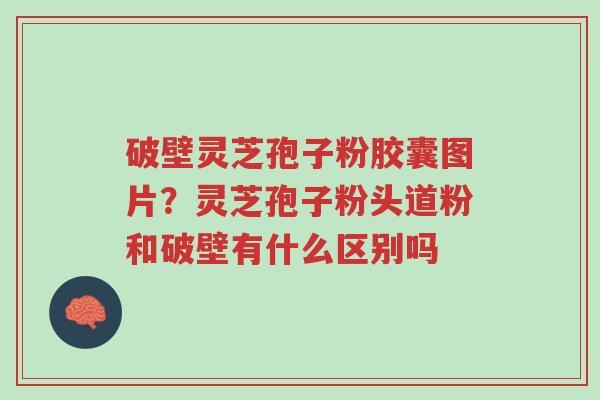 破壁灵芝孢子粉胶囊图片?灵芝孢子粉头道粉和破壁有什么区别吗-第1张图片-超越 破壁灵芝孢子粉胶囊图片?灵芝孢子粉头道粉和破壁有什么区别吗-第1张图片-超越