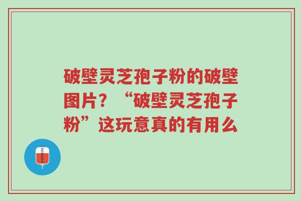 破壁灵芝孢子粉的破壁图片?“破壁灵芝孢子粉”这玩意真的有用么-第1张图片-超越 破壁灵芝孢子粉的破壁图片?“破壁灵芝孢子粉”这玩意真的有用么-第1张图片-超越