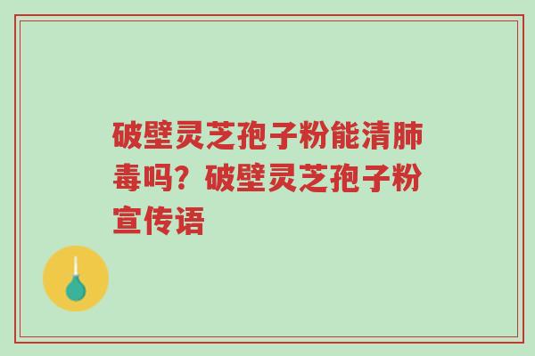 破壁灵芝孢子粉能清肺毒吗？破壁灵芝孢子粉宣传语-第1张图片-超越