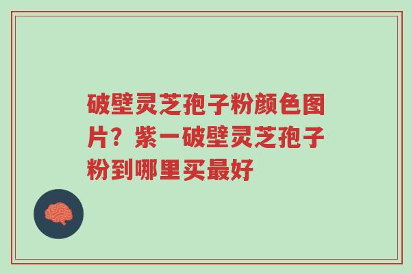 破壁灵芝孢子粉颜色图片？紫一破壁灵芝孢子粉到哪里买最好-第1张图片-超越