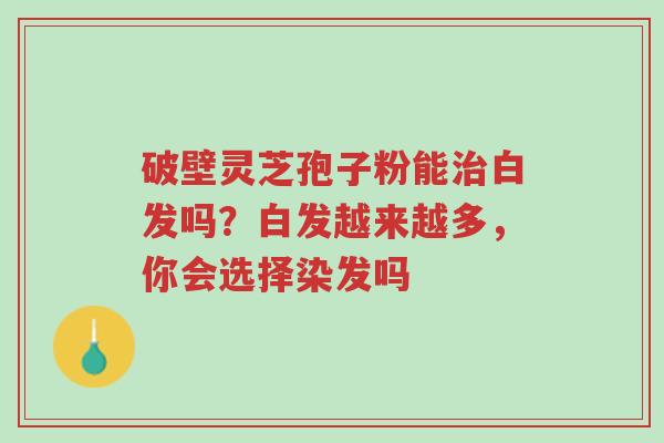 破壁灵芝孢子粉能治白发吗？白发越来越多，你会选择染发吗-第1张图片-超越