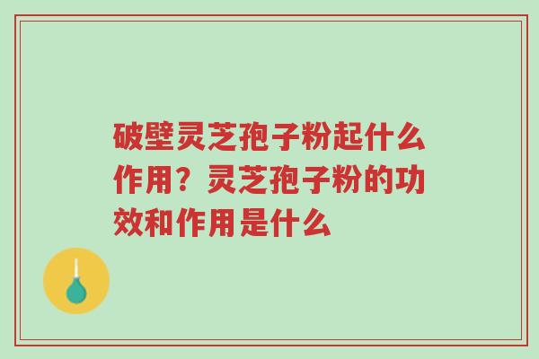 破壁灵芝孢子粉起什么作用?灵芝孢子粉的功效和作用是什么-第1张图片-超越 破壁灵芝孢子粉起什么作用?灵芝孢子粉的功效和作用是什么-第1张图片-超越