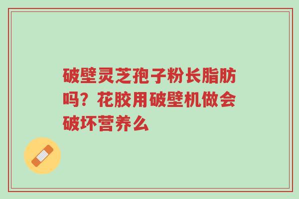 破壁灵芝孢子粉长脂肪吗?花胶用破壁机做会破坏营养么-第1张图片-超越 破壁灵芝孢子粉长脂肪吗?花胶用破壁机做会破坏营养么-第1张图片-超越