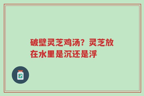 破壁灵芝鸡汤?灵芝放在水里是沉还是浮-第1张图片-超越 破壁灵芝鸡汤?灵芝放在水里是沉还是浮-第1张图片-超越