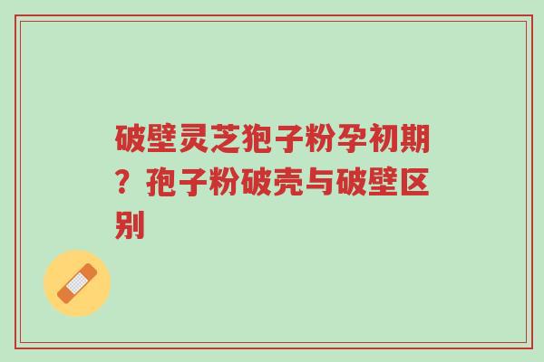 破壁灵芝狍子粉孕初期？孢子粉破壳与破壁区别-第1张图片-超越