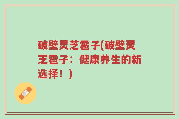 破壁灵芝雹子(破壁灵芝雹子:健康养生的新选择!)-第1张图片-超越 破壁灵芝雹子(破壁灵芝雹子:健康养生的新选择!)-第1张图片-超越