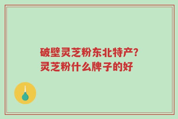 破壁灵芝粉东北特产?灵芝粉什么牌子的好-第1张图片-超越 破壁灵芝粉东北特产?灵芝粉什么牌子的好-第1张图片-超越
