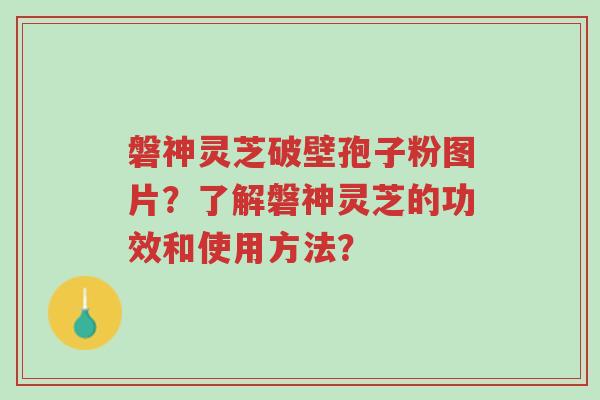 磐神灵芝破壁孢子粉图片?了解磐神灵芝的功效和使用方法?-第1张图片-超越 磐神灵芝破壁孢子粉图片?了解磐神灵芝的功效和使用方法?-第1张图片-超越