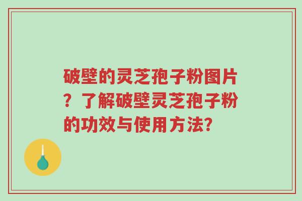 破壁的灵芝孢子粉图片？了解破壁灵芝孢子粉的功效与使用方法？-第1张图片-超越
