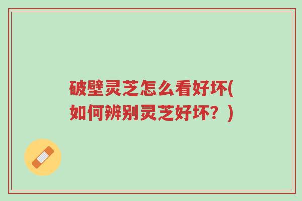 破壁灵芝怎么看好坏(如何辨别灵芝好坏?)-第1张图片-超越 破壁灵芝怎么看好坏(如何辨别灵芝好坏?)-第1张图片-超越