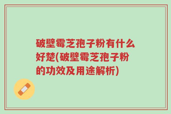 破壁霉芝孢子粉有什么好楚(破壁霉芝孢子粉的功效及用途解析)-第1张图片-超越 破壁霉芝孢子粉有什么好楚(破壁霉芝孢子粉的功效及用途解析)-第1张图片-超越