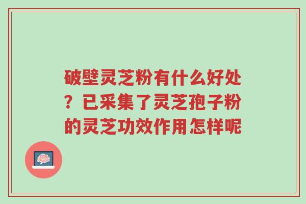 破壁灵芝粉有什么好处?已采集了灵芝孢子粉的灵芝功效作用怎样呢-第1张图片-超越 破壁灵芝粉有什么好处?已采集了灵芝孢子粉的灵芝功效作用怎样呢-第1张图片-超越