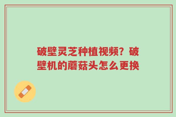 破壁灵芝种植视频?破壁机的蘑菇头怎么更换-第1张图片-超越 破壁灵芝种植视频?破壁机的蘑菇头怎么更换-第1张图片-超越