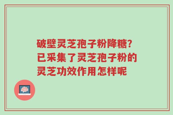 破壁灵芝孢子粉降糖?已采集了灵芝孢子粉的灵芝功效作用怎样呢-第1张图片-超越 破壁灵芝孢子粉降糖?已采集了灵芝孢子粉的灵芝功效作用怎样呢-第1张图片-超越
