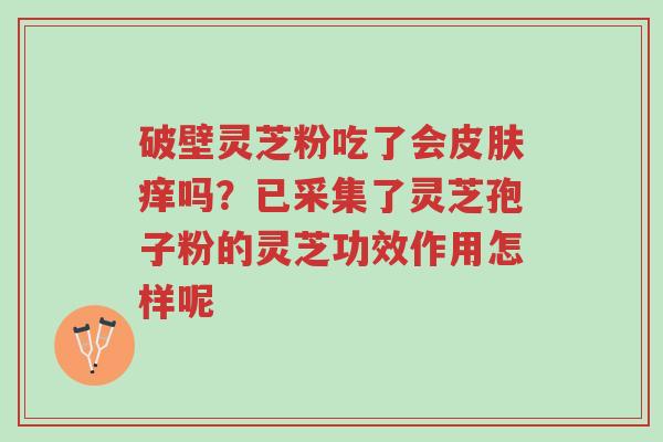 破壁灵芝粉吃了会皮肤痒吗？已采集了灵芝孢子粉的灵芝功效作用怎样呢-第1张图片-超越