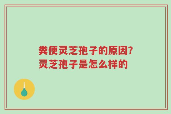 粪便灵芝孢子的原因?灵芝孢子是怎么样的-第1张图片-超越 粪便灵芝孢子的原因?灵芝孢子是怎么样的-第1张图片-超越