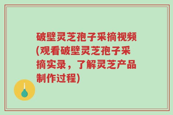 破壁灵芝孢子采摘视频(观看破壁灵芝孢子采摘实录,了解灵芝产品制作过程)-第1张图片-超越 破壁灵芝孢子采摘视频(观看破壁灵芝孢子采摘实录,了解灵芝产品制作过程)-第1张图片-超越
