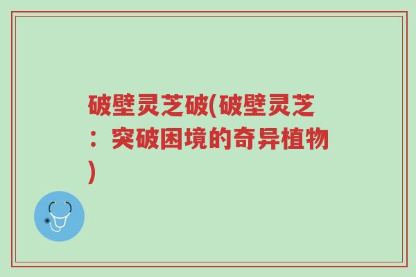 破壁灵芝破(破壁灵芝:突破困境的奇异植物)-第1张图片-超越 破壁灵芝破(破壁灵芝:突破困境的奇异植物)-第1张图片-超越
