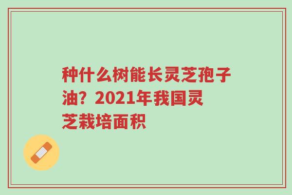 种什么树能长灵芝孢子油?2021年我国灵芝栽培面积-第1张图片-超越 种什么树能长灵芝孢子油?2021年我国灵芝栽培面积-第1张图片-超越