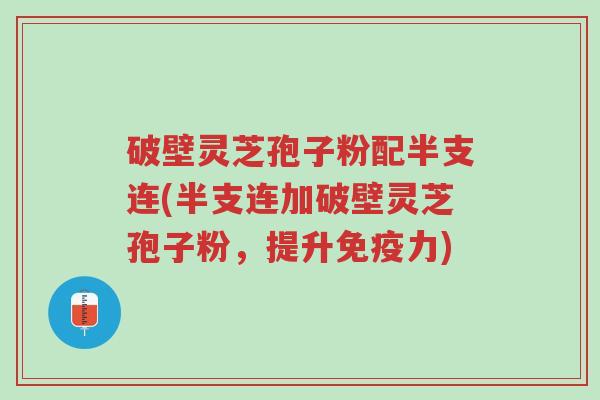 破壁灵芝孢子粉配半支连(半支连加破壁灵芝孢子粉,提升免疫力)-第1张图片-超越 破壁灵芝孢子粉配半支连(半支连加破壁灵芝孢子粉,提升免疫力)-第1张图片-超越