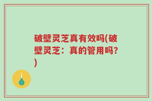 破壁灵芝真有效吗(破壁灵芝:真的管用吗?)-第1张图片-超越 破壁灵芝真有效吗(破壁灵芝:真的管用吗?)-第1张图片-超越