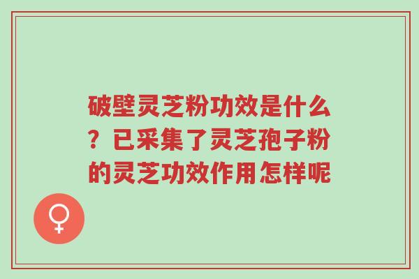 破壁灵芝粉功效是什么?已采集了灵芝孢子粉的灵芝功效作用怎样呢-第1张图片-超越 破壁灵芝粉功效是什么?已采集了灵芝孢子粉的灵芝功效作用怎样呢-第1张图片-超越