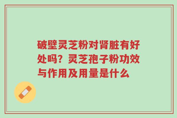 破壁灵芝粉对肾脏有好处吗?灵芝孢子粉功效与作用及用量是什么-第1张图片-超越 破壁灵芝粉对肾脏有好处吗?灵芝孢子粉功效与作用及用量是什么-第1张图片-超越