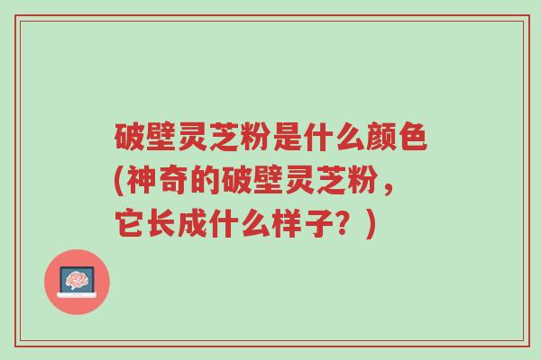 破壁灵芝粉是什么颜色(神奇的破壁灵芝粉,它长成什么样子?)-第1张图片-超越 破壁灵芝粉是什么颜色(神奇的破壁灵芝粉,它长成什么样子?)-第1张图片-超越