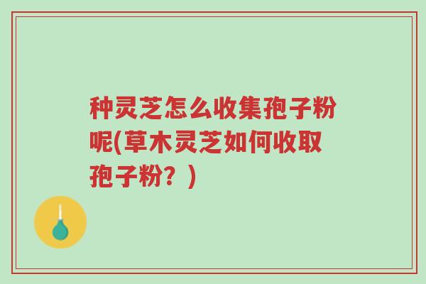 种灵芝怎么收集孢子粉呢(草木灵芝如何收取孢子粉?)-第1张图片-超越 种灵芝怎么收集孢子粉呢(草木灵芝如何收取孢子粉?)-第1张图片-超越
