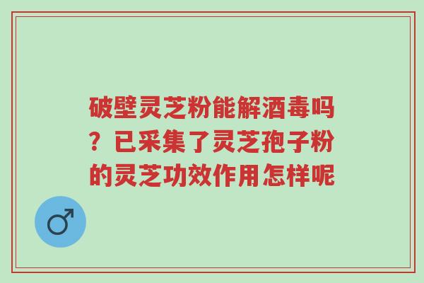 破壁灵芝粉能解酒毒吗?已采集了灵芝孢子粉的灵芝功效作用怎样呢-第1张图片-超越 破壁灵芝粉能解酒毒吗?已采集了灵芝孢子粉的灵芝功效作用怎样呢-第1张图片-超越