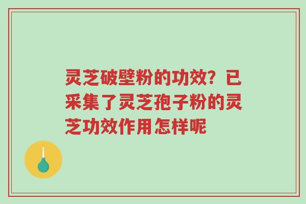 灵芝破壁粉的功效?已采集了灵芝孢子粉的灵芝功效作用怎样呢-第1张图片-超越 灵芝破壁粉的功效?已采集了灵芝孢子粉的灵芝功效作用怎样呢-第1张图片-超越
