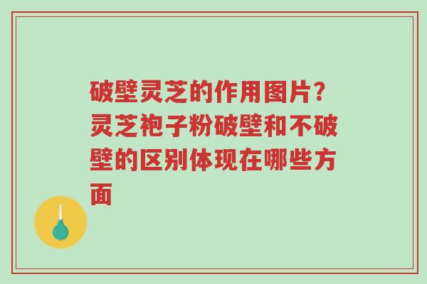 破壁灵芝的作用图片?灵芝袍子粉破壁和不破壁的区别体现在哪些方面-第1张图片-超越 破壁灵芝的作用图片?灵芝袍子粉破壁和不破壁的区别体现在哪些方面-第1张图片-超越