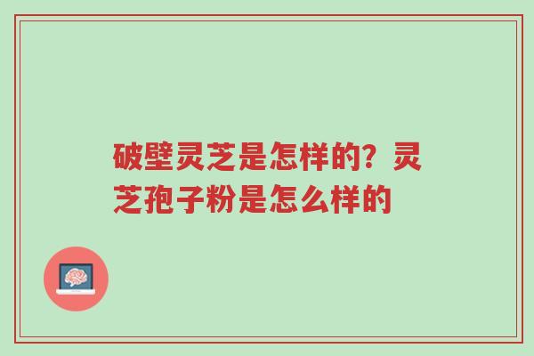 破壁灵芝是怎样的?灵芝孢子粉是怎么样的-第1张图片-超越 破壁灵芝是怎样的?灵芝孢子粉是怎么样的-第1张图片-超越