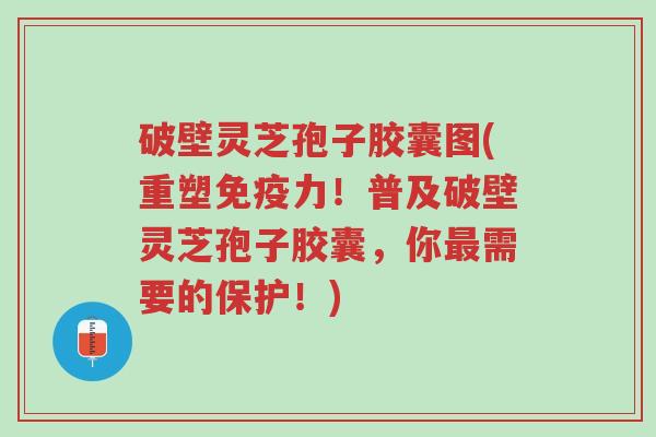 破壁灵芝孢子胶囊图(重塑免疫力!普及破壁灵芝孢子胶囊,你最需要的保护!)-第1张图片-超越 破壁灵芝孢子胶囊图(重塑免疫力!普及破壁灵芝孢子胶囊,你最需要的保护!)-第1张图片-超越