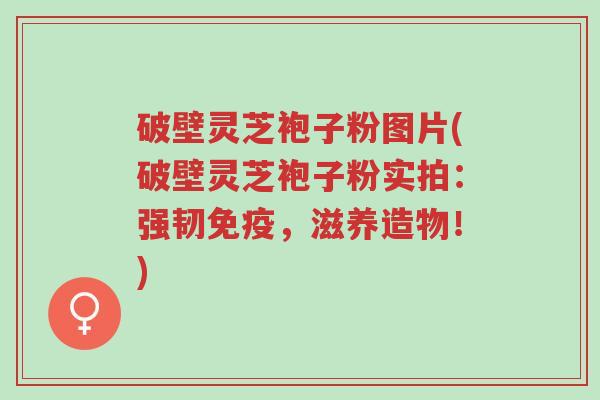 破壁灵芝袍子粉图片(破壁灵芝袍子粉实拍:强韧免疫,滋养造物!)-第1张图片-超越 破壁灵芝袍子粉图片(破壁灵芝袍子粉实拍:强韧免疫,滋养造物!)-第1张图片-超越