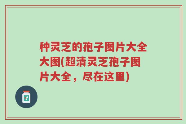 种灵芝的孢子图片大全大图(超清灵芝孢子图片大全,尽在这里)-第1张图片-超越 种灵芝的孢子图片大全大图(超清灵芝孢子图片大全,尽在这里)-第1张图片-超越