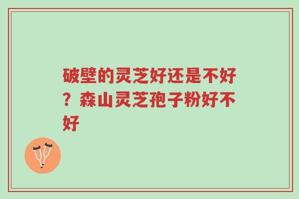 破壁的灵芝好还是不好?森山灵芝孢子粉好不好-第1张图片-超越 破壁的灵芝好还是不好?森山灵芝孢子粉好不好-第1张图片-超越
