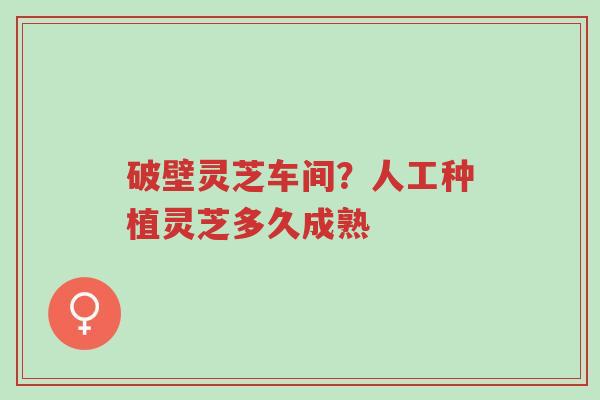 破壁灵芝车间?人工种植灵芝多久成熟-第1张图片-超越 破壁灵芝车间?人工种植灵芝多久成熟-第1张图片-超越