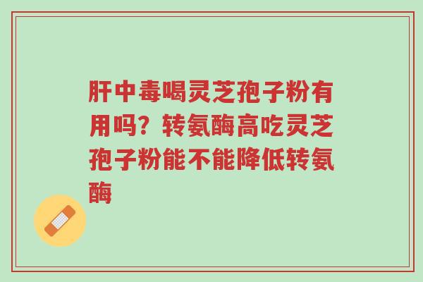 肝中毒喝灵芝孢子粉有用吗?转氨酶高吃灵芝孢子粉能不能降低转氨酶-第1张图片-超越 肝中毒喝灵芝孢子粉有用吗?转氨酶高吃灵芝孢子粉能不能降低转氨酶-第1张图片-超越