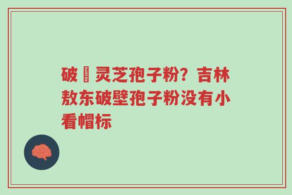 破礕灵芝孢子粉?吉林敖东破壁孢子粉没有小看帽标-第1张图片-超越 破礕灵芝孢子粉?吉林敖东破壁孢子粉没有小看帽标-第1张图片-超越