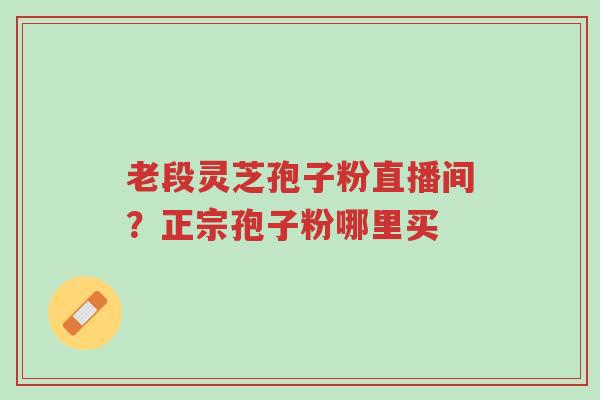 老段灵芝孢子粉直播间？正宗孢子粉哪里买-第1张图片-超越