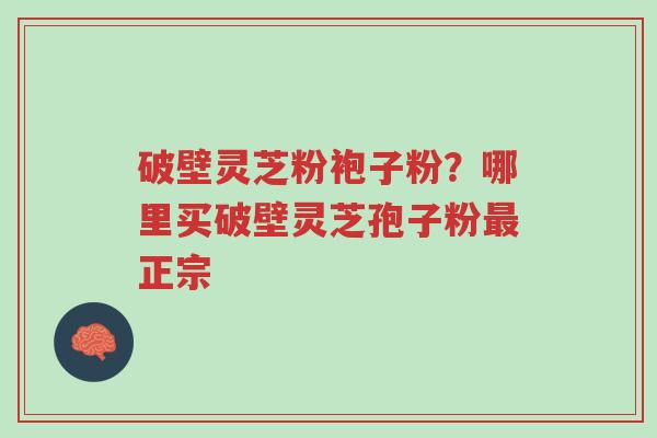 破壁灵芝粉袍子粉?哪里买破壁灵芝孢子粉最正宗-第1张图片-超越 破壁灵芝粉袍子粉?哪里买破壁灵芝孢子粉最正宗-第1张图片-超越