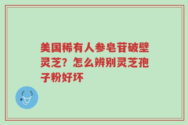 美国稀有人参皂苷破壁灵芝?怎么辨别灵芝孢子粉好坏-第1张图片-超越 美国稀有人参皂苷破壁灵芝?怎么辨别灵芝孢子粉好坏-第1张图片-超越