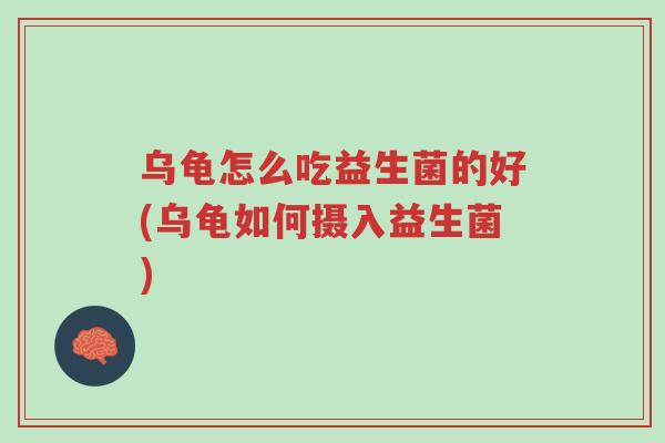 乌龟怎么吃益生菌的好(乌龟如何摄入益生菌)-第1张图片-超越 乌龟怎么吃益生菌的好(乌龟如何摄入益生菌)-第1张图片-超越