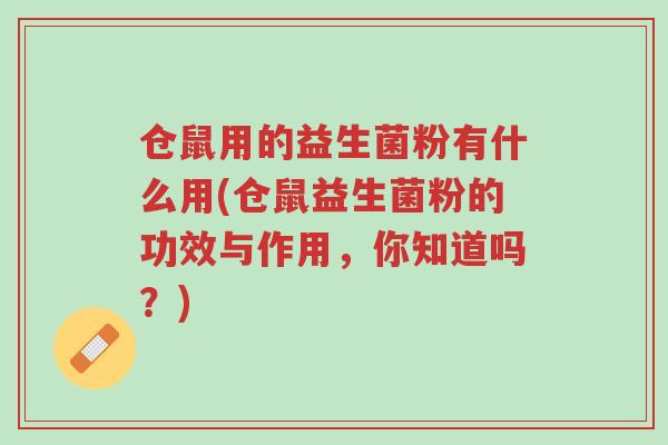 仓鼠用的益生菌粉有什么用(仓鼠益生菌粉的功效与作用,你知道吗?)-第1张图片-超越 仓鼠用的益生菌粉有什么用(仓鼠益生菌粉的功效与作用,你知道吗?)-第1张图片-超越