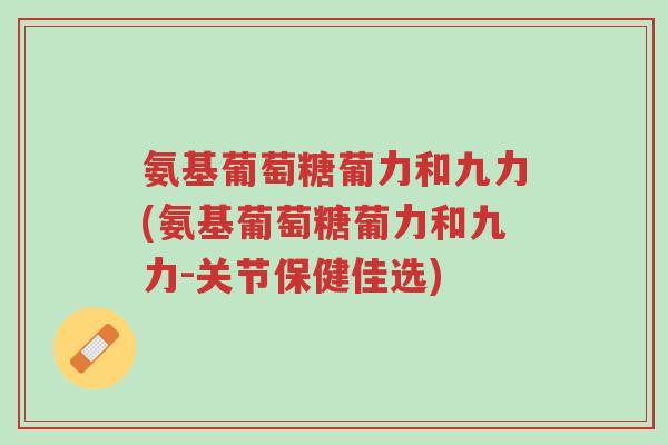 氨基葡萄糖葡力和九力(氨基葡萄糖葡力和九力-关节保健佳选)-第1张图片-超越 氨基葡萄糖葡力和九力(氨基葡萄糖葡力和九力-关节保健佳选)-第1张图片-超越