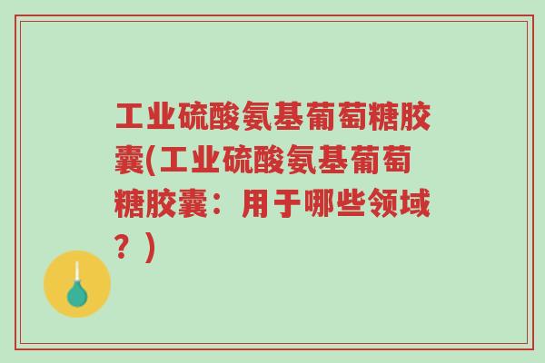 工业硫酸氨基葡萄糖胶囊(工业硫酸氨基葡萄糖胶囊:用于哪些领域?)-第1张图片-超越 工业硫酸氨基葡萄糖胶囊(工业硫酸氨基葡萄糖胶囊:用于哪些领域?)-第1张图片-超越