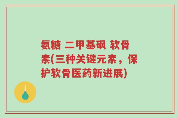 氨糖 二甲基砜 软骨素(三种关键元素,保护软骨医药新进展)-第1张图片-超越 氨糖 二甲基砜 软骨素(三种关键元素,保护软骨医药新进展)-第1张图片-超越